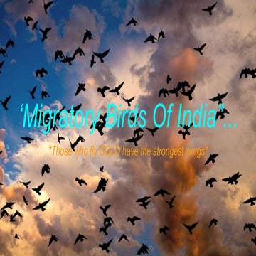 Migration, navigation, and Orientation in Birds.pptx