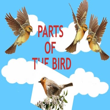 ELEMENTARYSCIENCE123PARTSOFTHEBIRDS.pptx