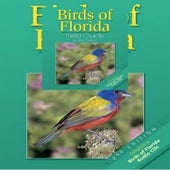 Printable Bird Field Guide