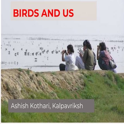 Birds and Us