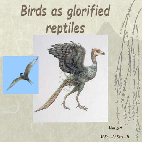 Birds as glorified reptiles