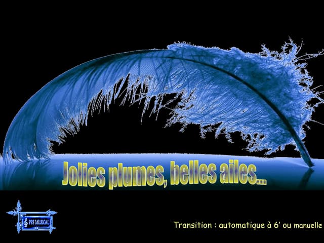 Birds  high_fashion_show___