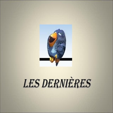 Birds lesdernieres robby