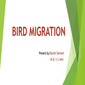Birds migration ppt by danish salmani