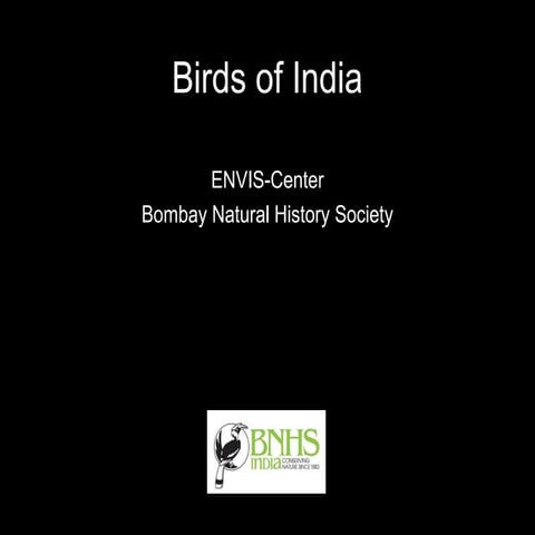 Birds of india