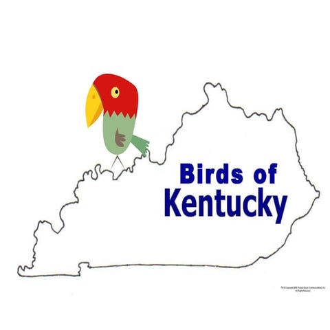 Birds Of Kentucky | PPT