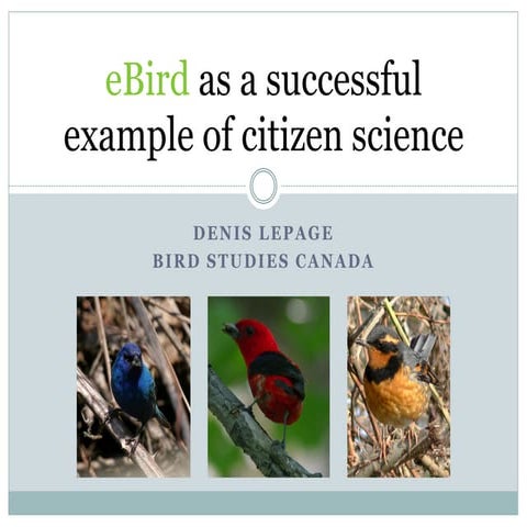 Bird Studies Canada