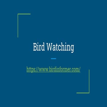 Bird Watching