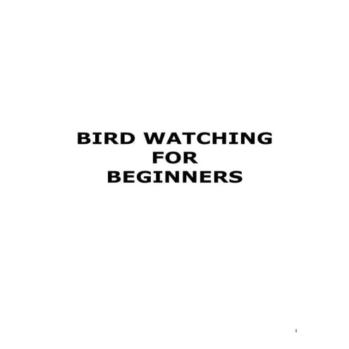 Birdwatching for beginners
