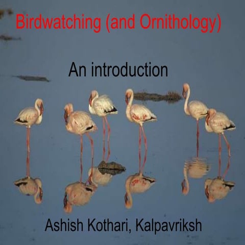 Birdwatching: an introduction 