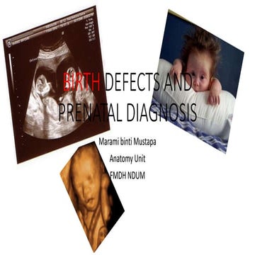 Birth defects and prenatal diagnosis