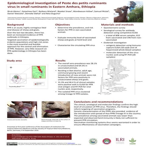 Epidemiological investigation of Peste des petits ruminants virus in small ru...