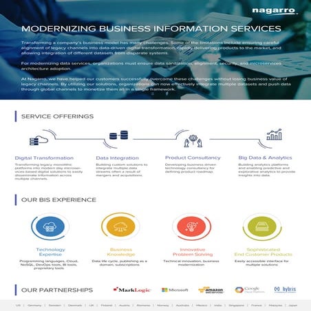 Modernizing Business Information Services