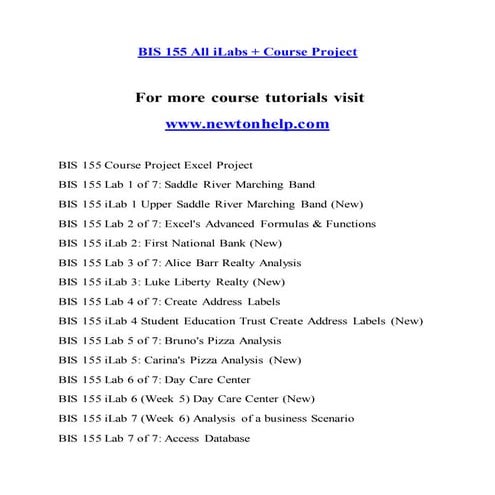 BIS 155 Success Begins /newtonhelp.com 