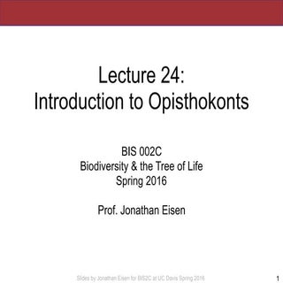 BIS2C: Lecture 24: Opisthokonts