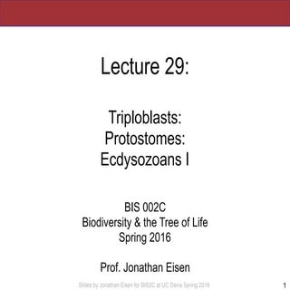 BIS2C: Lecture 29: Triploblasts: Pr...