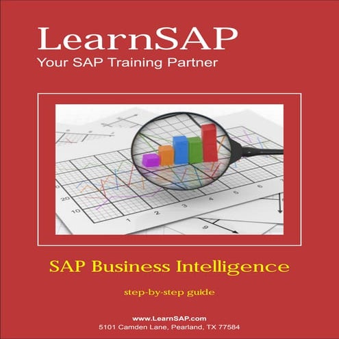 Bi sample sap learn book