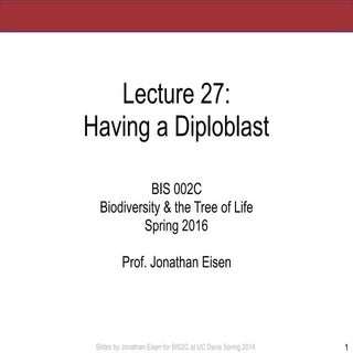 BIS2C: Lecture 27: Having a Diploblast