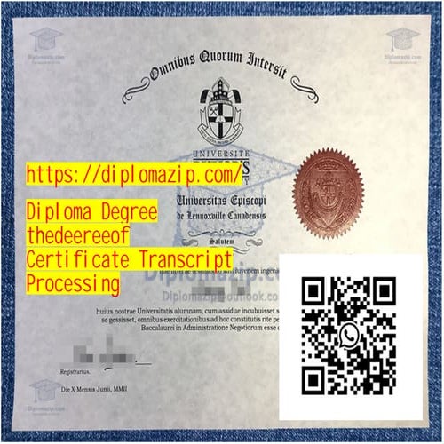 Comprehensive Guide to Diploma Degree, Certificate, and Transcript ...