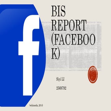 BIS Report(Facebook)