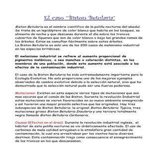 Biston betularia por Rocio