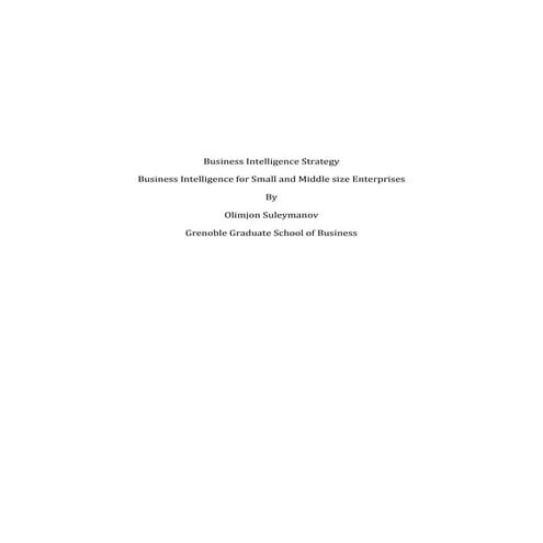Business Intelligence Strategy for SME's | PDF