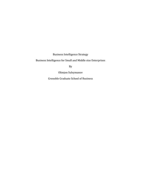 Business Intelligence Strategy for SME's