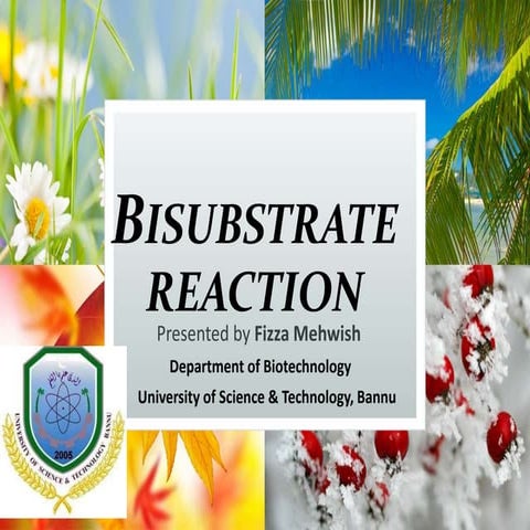 Bisubstrate reaction