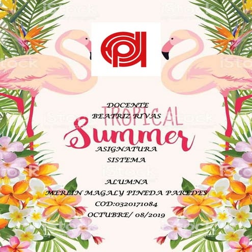 BITÁCORA DE SISTEMA OPTITEX 