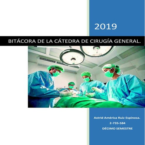 Bitacora | PDF