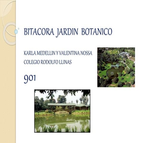 Bitacora  jardin  botanico ..