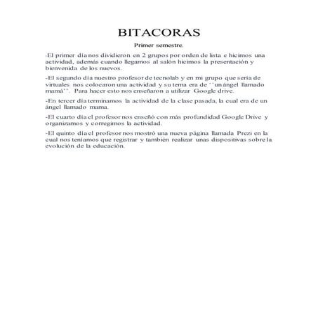 Bitacoras primer semestre