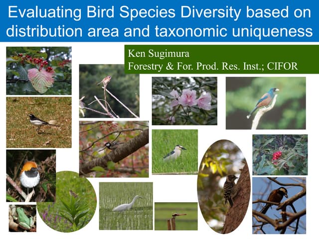 Evaluating bird species diversity based on distribution area and taxonomic uniqueness