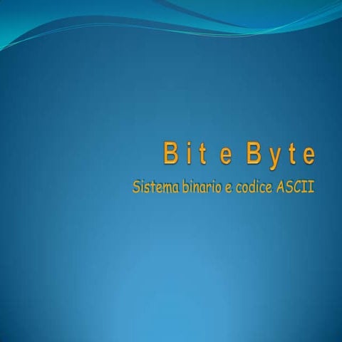 Bit byte | PPT