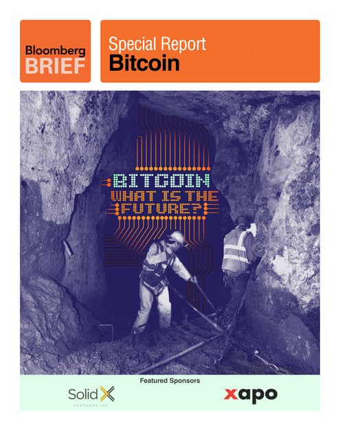 Bitcoin:What is the Future?