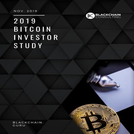 Bitcoin Investor Study / Research