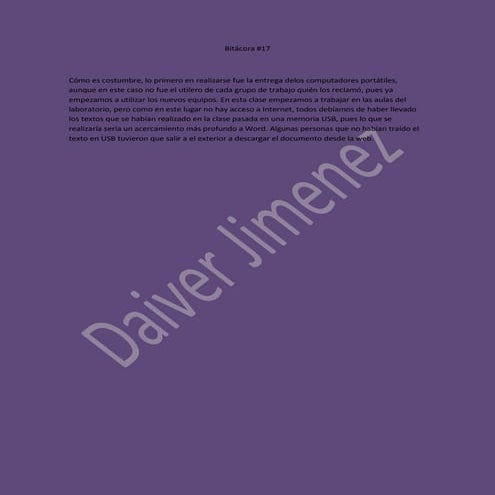 Bitácora 17