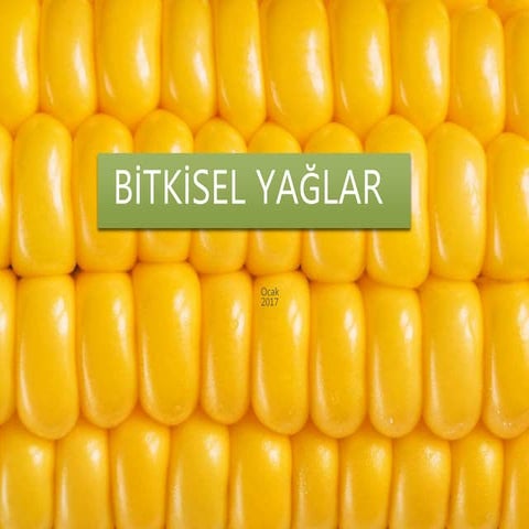 Bitkisel yağlar