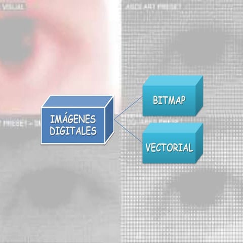 Bitmap & vectorial