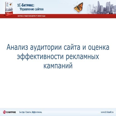 Bitrix Web Analytics 