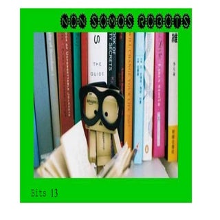 Bits 13