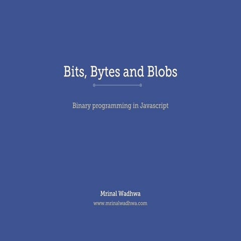 Bits, Bytes and Blobs | PDF | Programming Languages | Computing