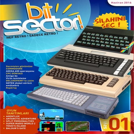 Bitsector Sayı 01