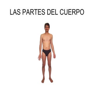 Bits partes del cuerpo