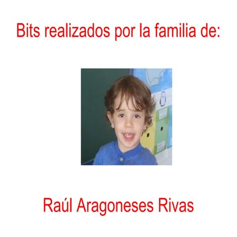 Bits viajeros - Raúl Aragoneses - Aves - Insectos