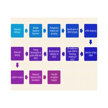 Bituu Fow chat fir dissertation work. Pptx