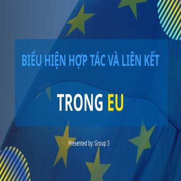 Comprehensive Overview of EU Cooperation, Economic Union, and ...