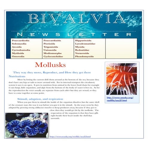 Bivalvia