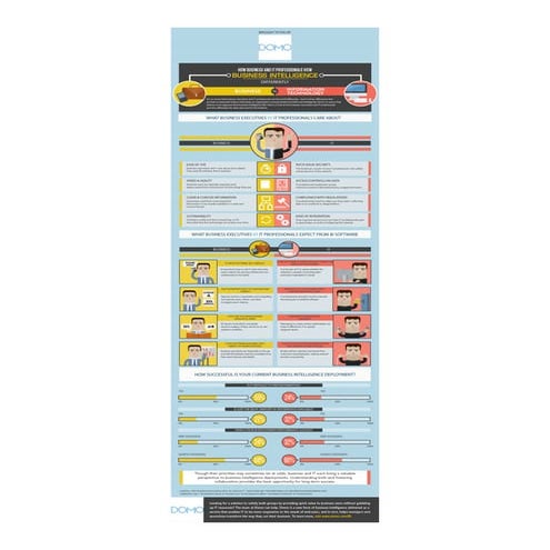 How Business and IT Professionals View Business Intelligence Differently 