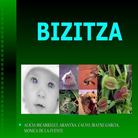 Bizitza